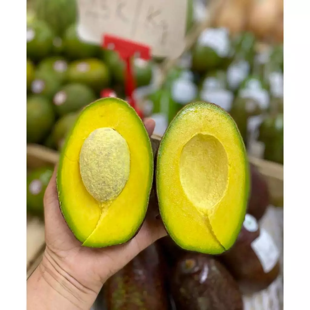 Bơ Sáp Dẻo Đắk Lắk