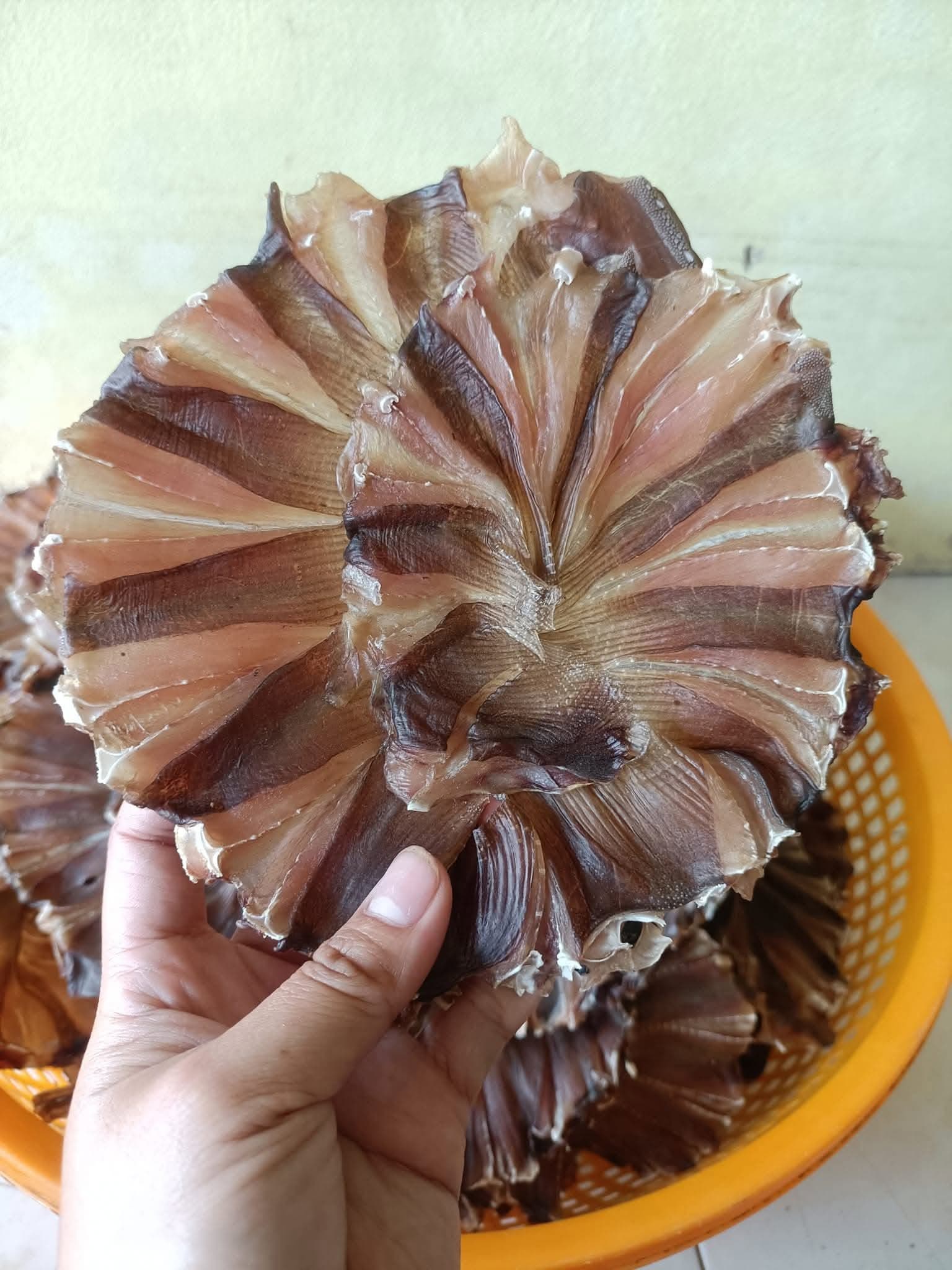 Cá Đuối Ướp Nước Dừa